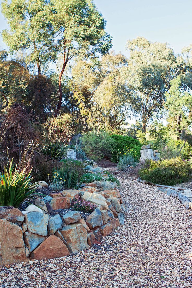 Australian native plants for rock gardens that can Survive the Heat