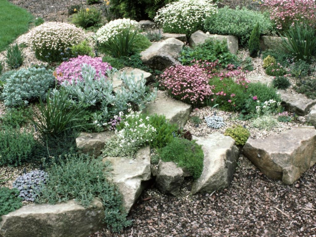 20 Facts To Know About Flowers And Plants For Rock Gardens | Interior ...