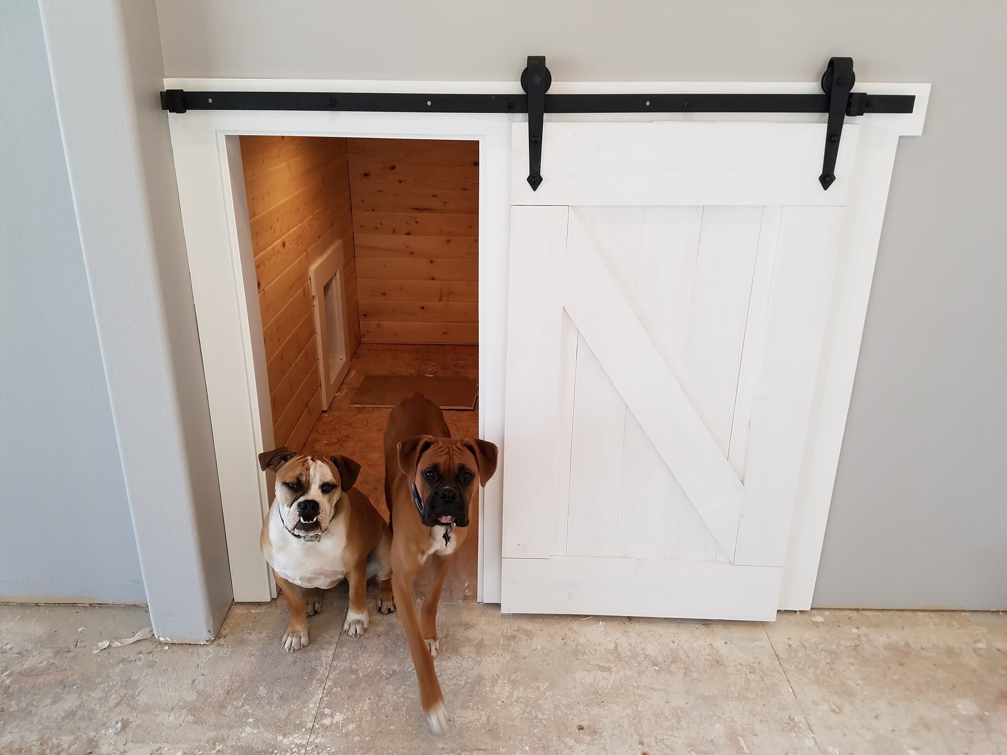 Dog kennel doors 20 adventiges for your pets Interior & Exterior Ideas