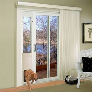 dog doors 6