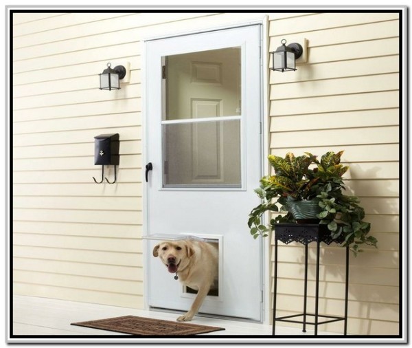 storm door with pet door 1