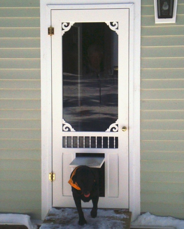 storm door with pet door 3