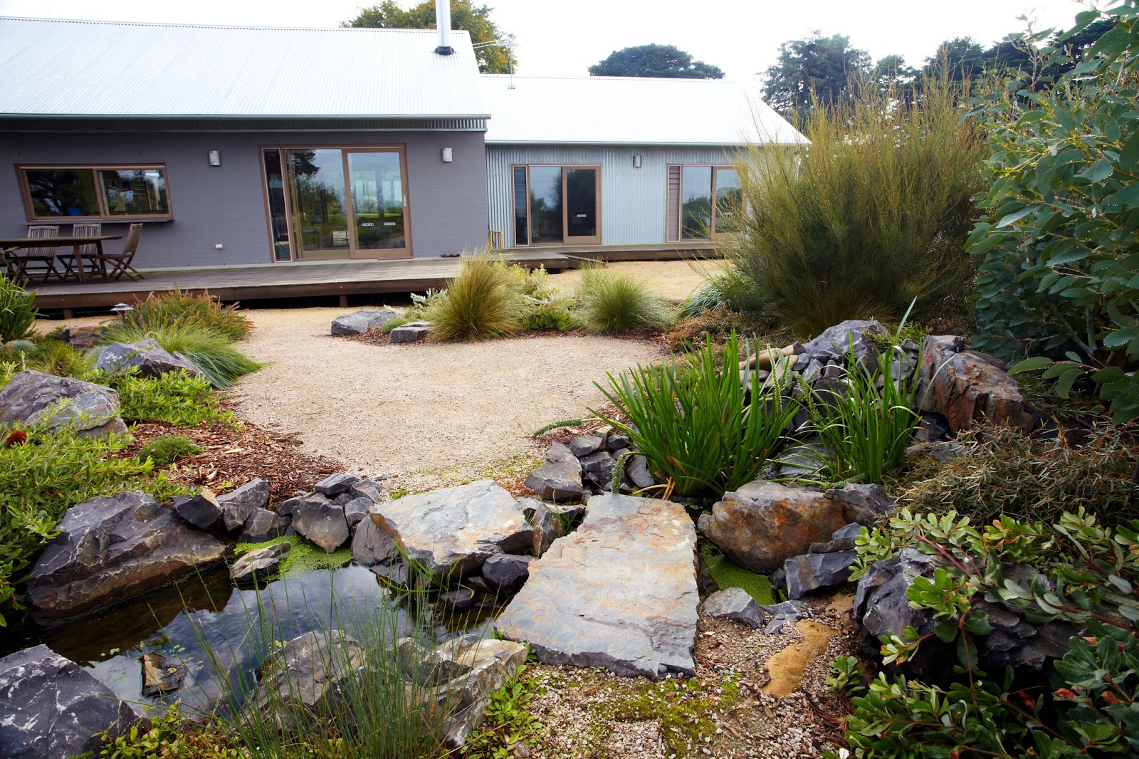 Australian native plants for rock gardens that can Survive the Heat - house-ideas.org