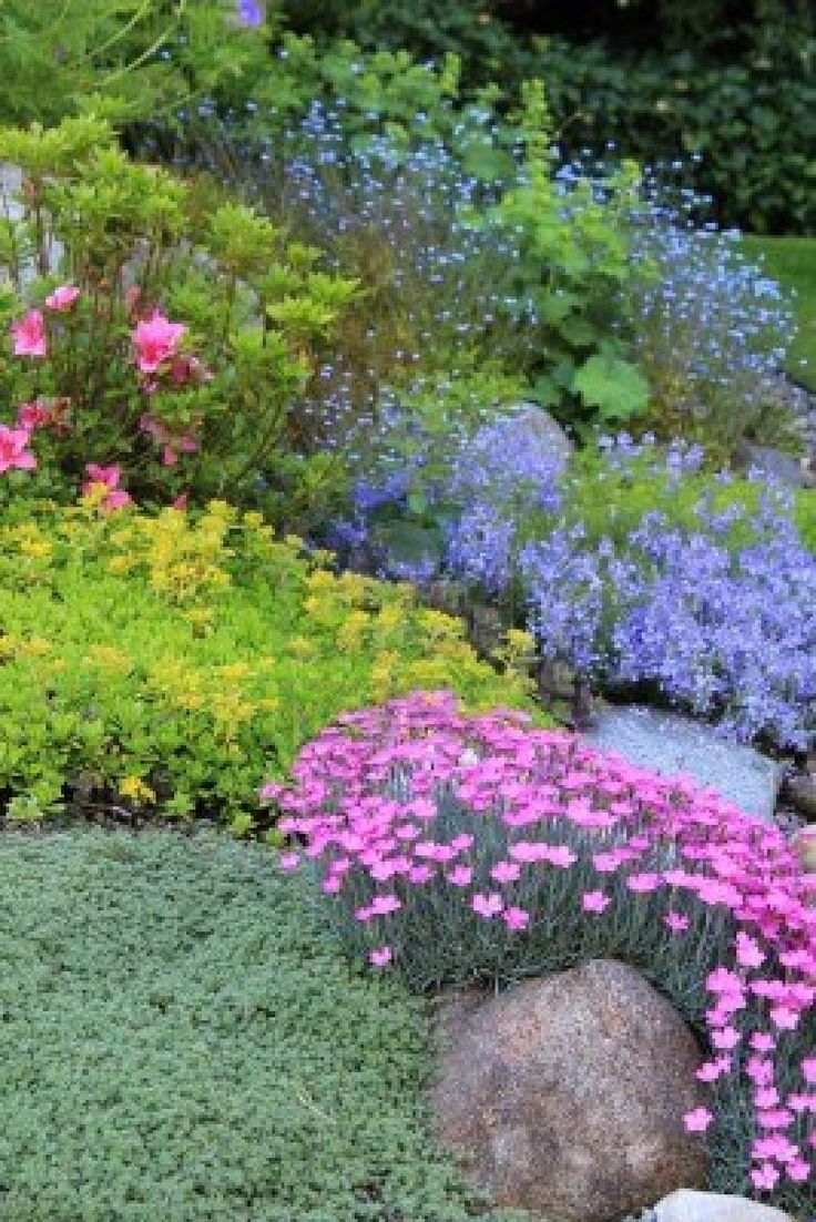 20 facts to know about Flowers and plants for rock gardens | Interior ...