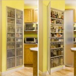 Kitchen cabinets pantry ideas