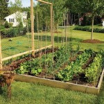 20 Vegetable garden box ideas for 2019