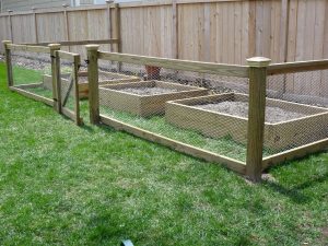 20 things to know about Vegetable garden fence chicken wire | Home