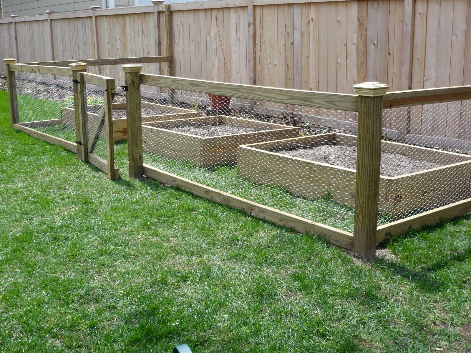 chicken wire fence around garden