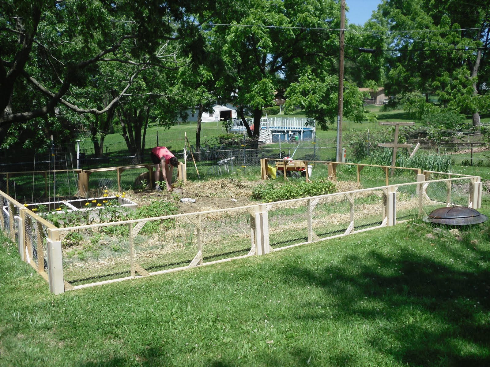 20 Things To Know About Vegetable Garden Fence Chicken Wire House