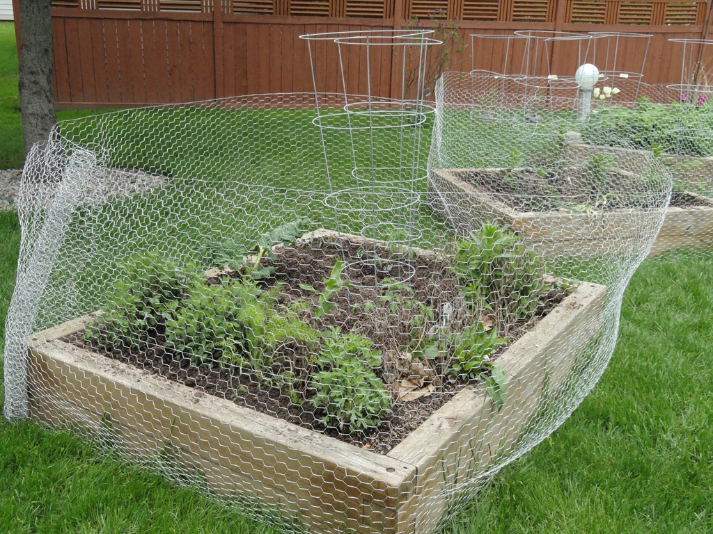 20 things to know about Vegetable garden fence chicken wire house