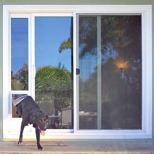 Dog-door-for-sliding-glass-door-photo-18