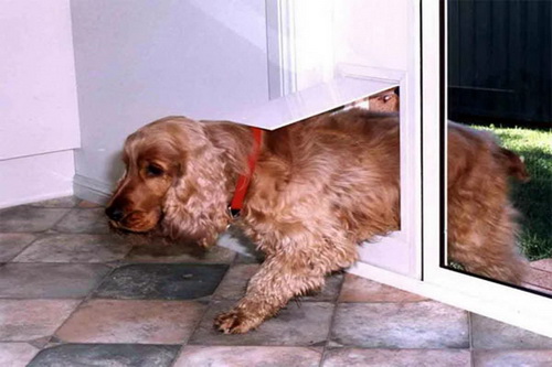 Dog-door-for-sliding-glass-door-photo-25
