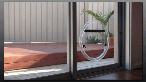 glass-dog-door-photo-12