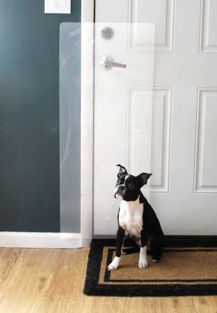 20 things to know about Dog scratching door