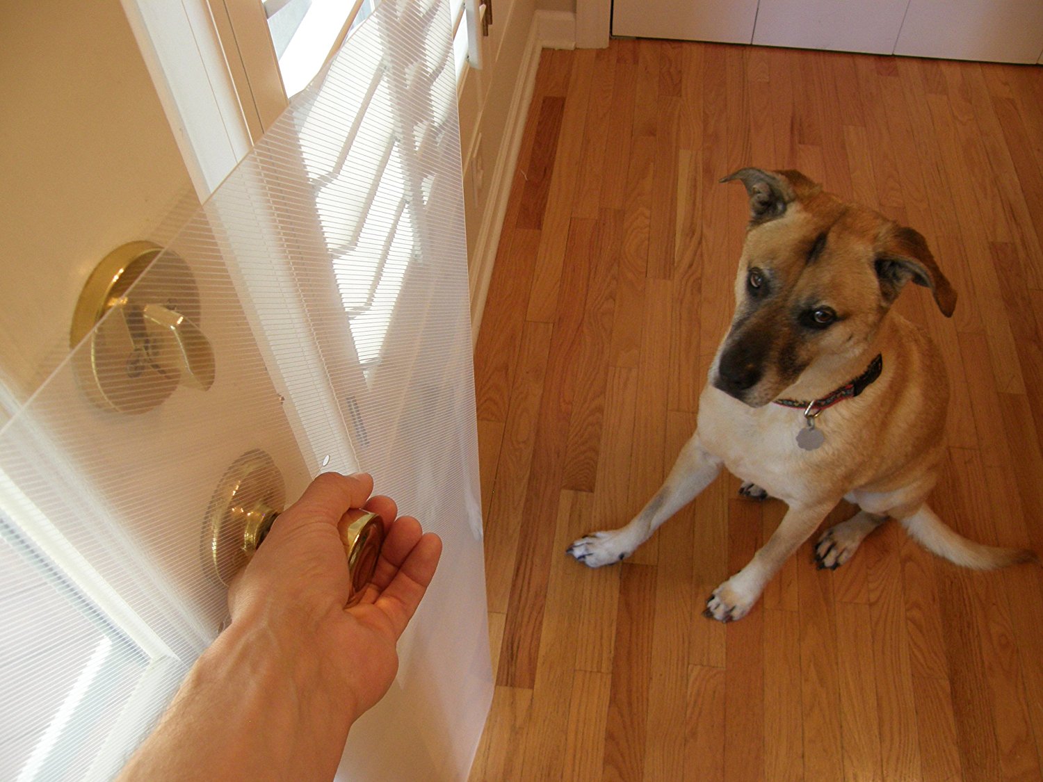 how to keep a dog from scratching the door
