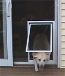 20 things you should to know about Dog screen door