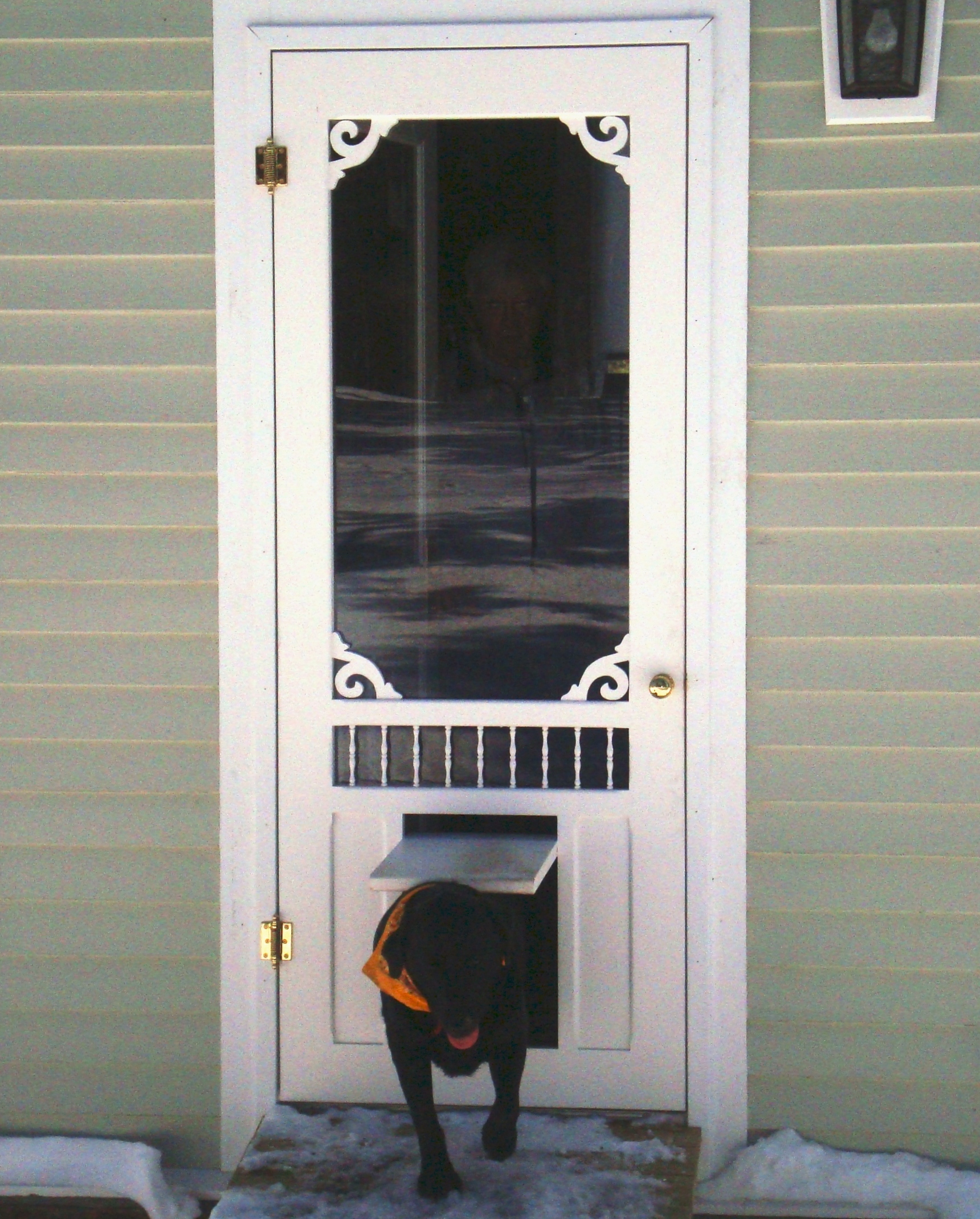 screen door with dog door