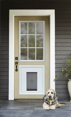 Door with built in dog door – must have for dog owners