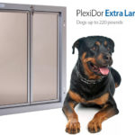 Top 23 Best Large Dog Door for Your Home