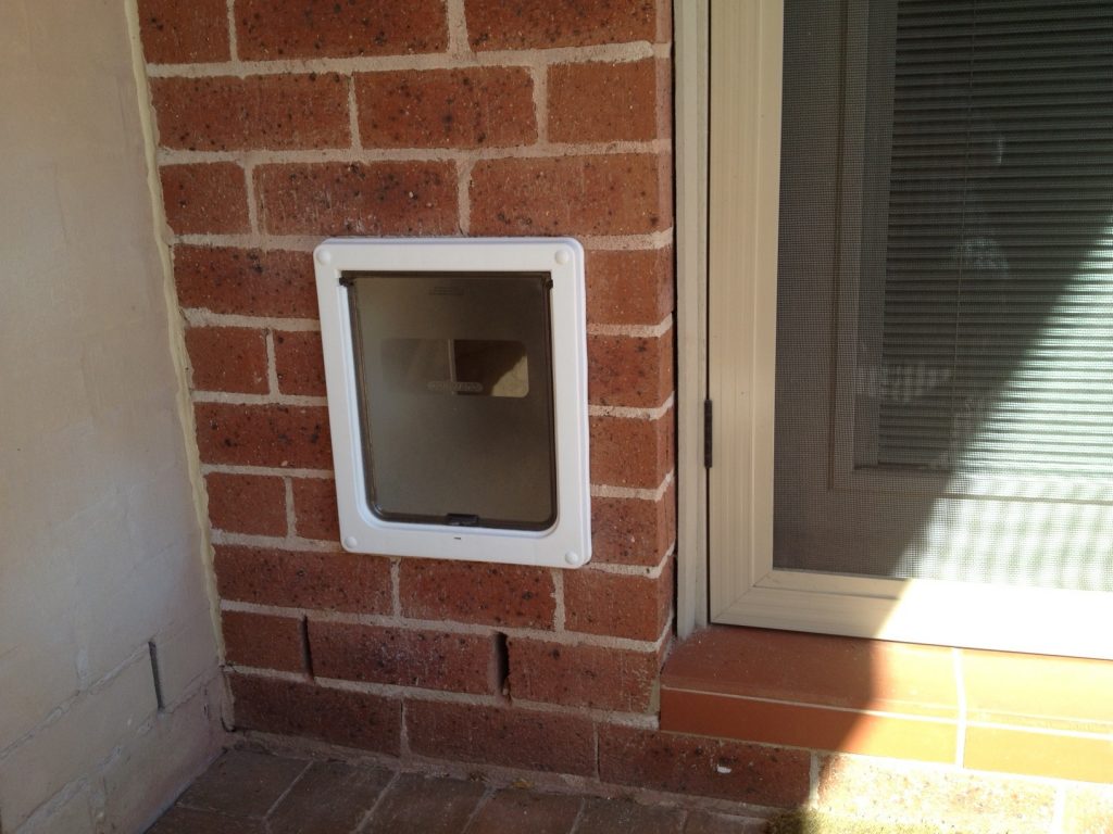 Your Dog's lifestyle made easy with Wall dog door