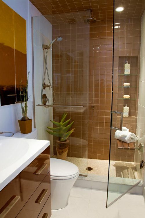 glass-wall-divider-bathroom-photo-19