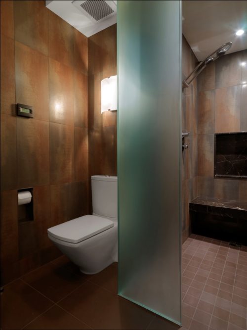 glass-wall-divider-bathroom-photo-20