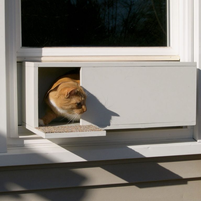 20 types of Cat doors