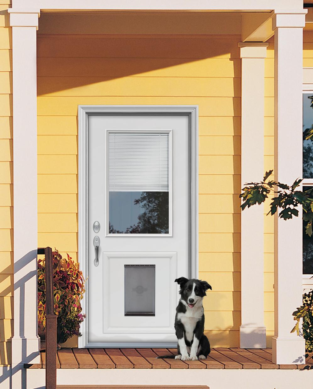 screen door with dog door