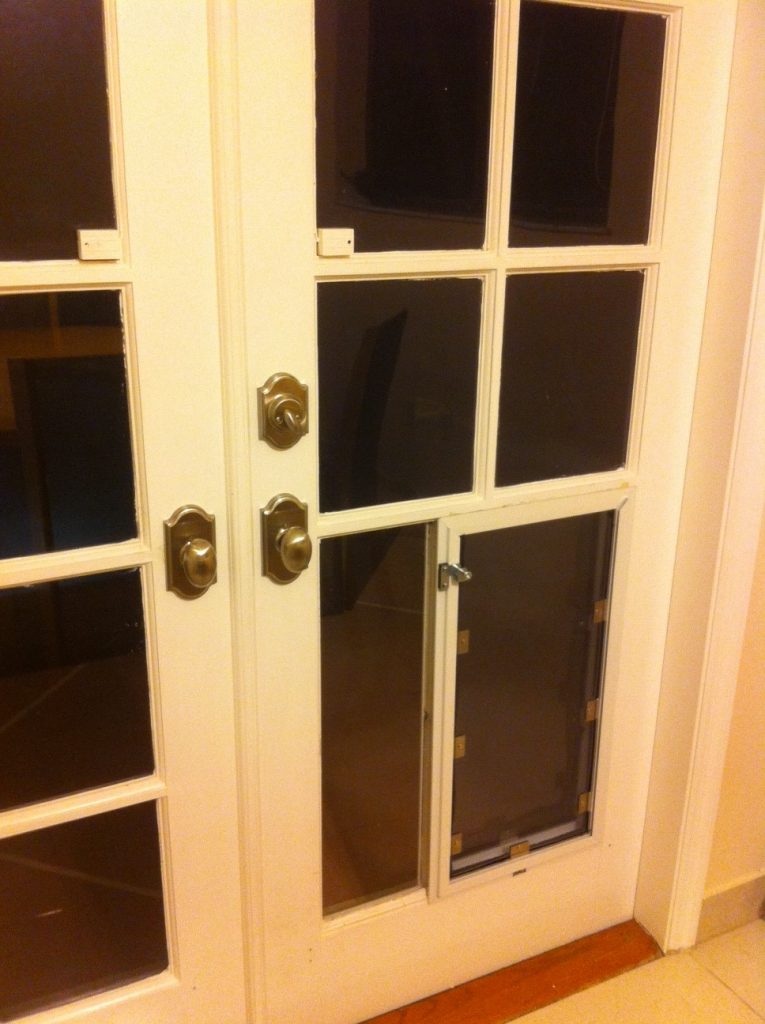 TOP 20 custom and classic French doors with dog door