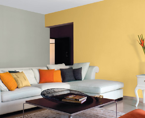 asian paints colour shades in yellow photo - 4