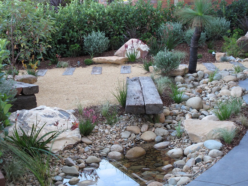 australian native plants for rock gardens photo - 2