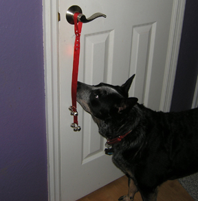 dog bell for door photo - 2