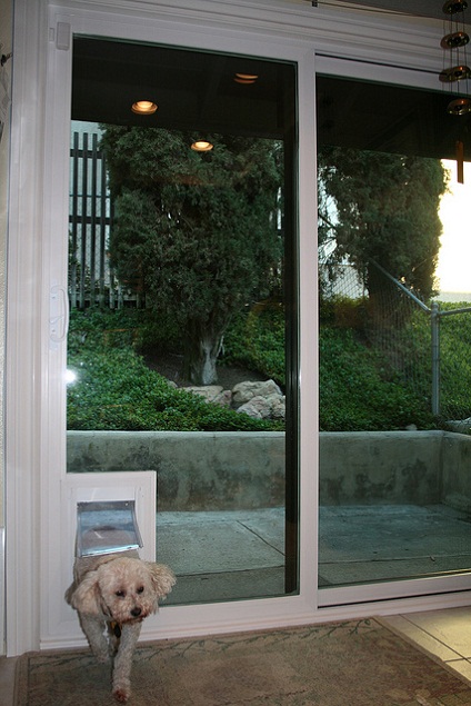 dog door for sliding door photo - 4