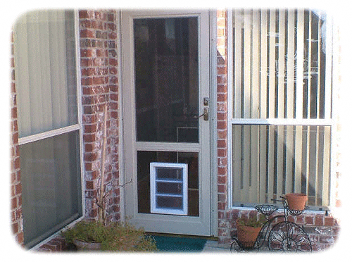 door with built in dog door photo - 7