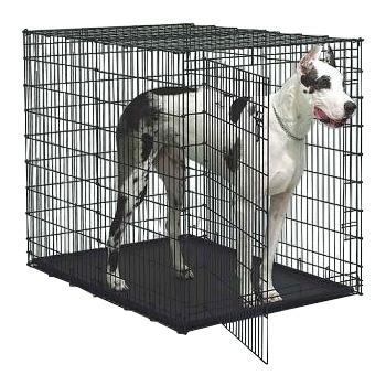 double door dog crate photo - 2