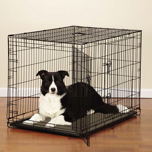 double door dog crate photo - 5