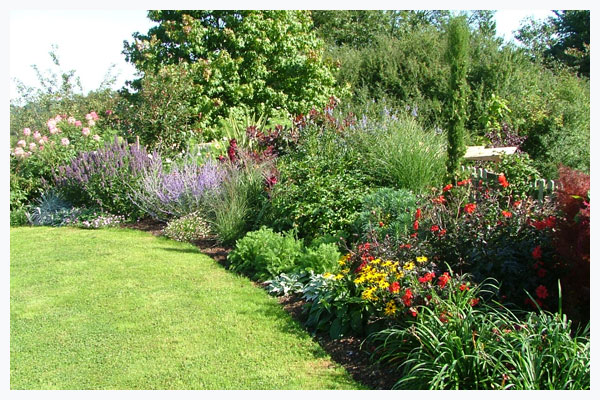 garden design ideas shrubs photo - 2