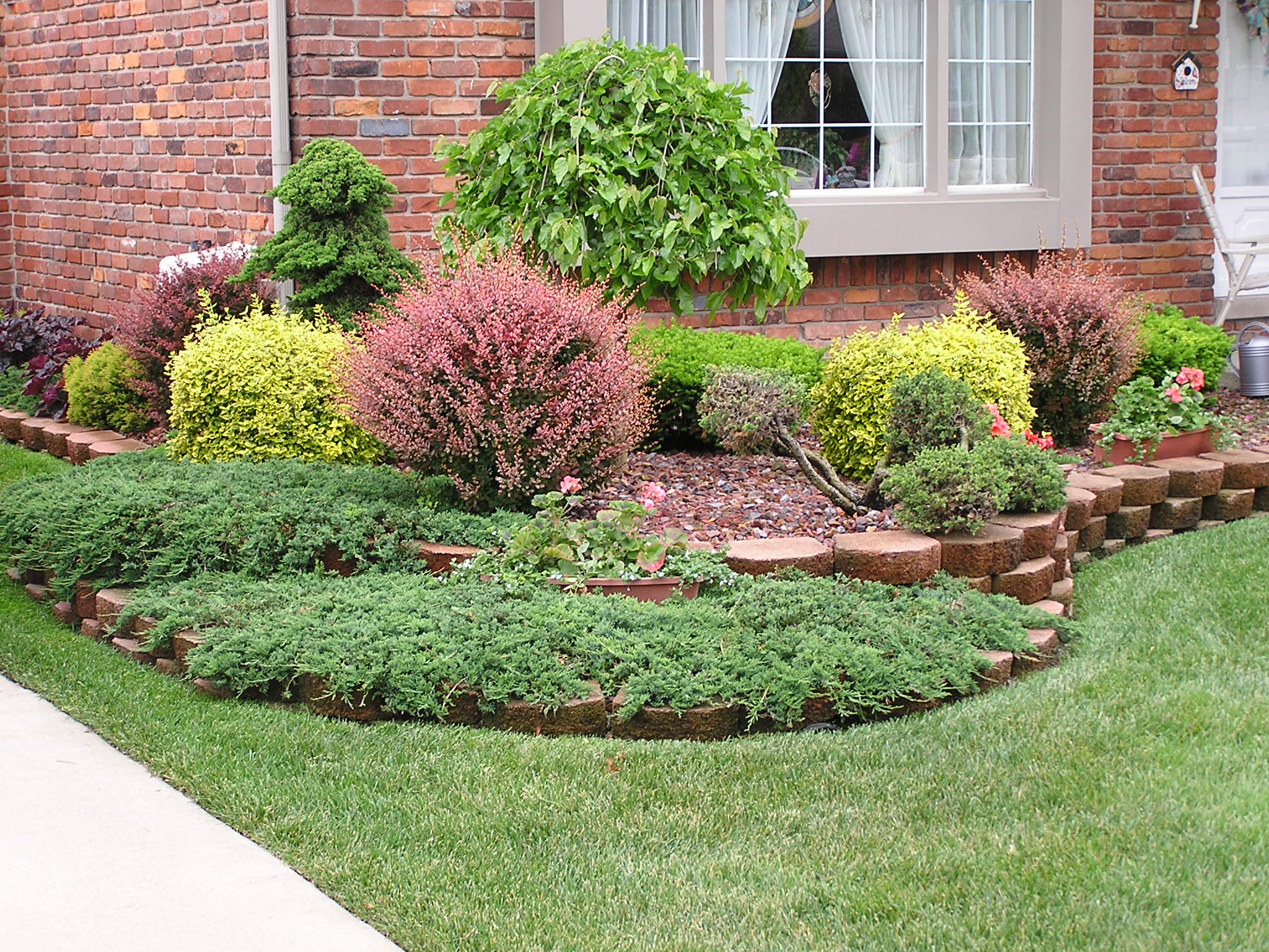 garden design ideas shrubs photo - 3