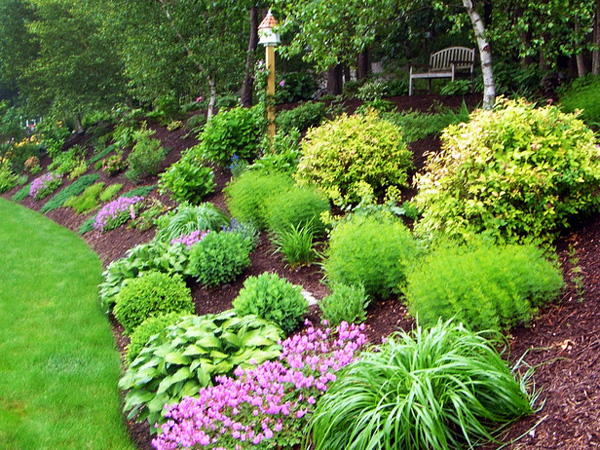 garden design ideas shrubs photo - 6