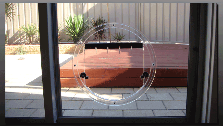 glass dog door photo - 4