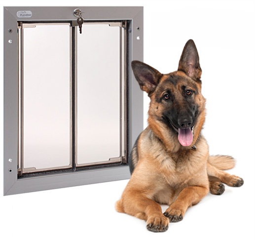 large dog door photo - 10