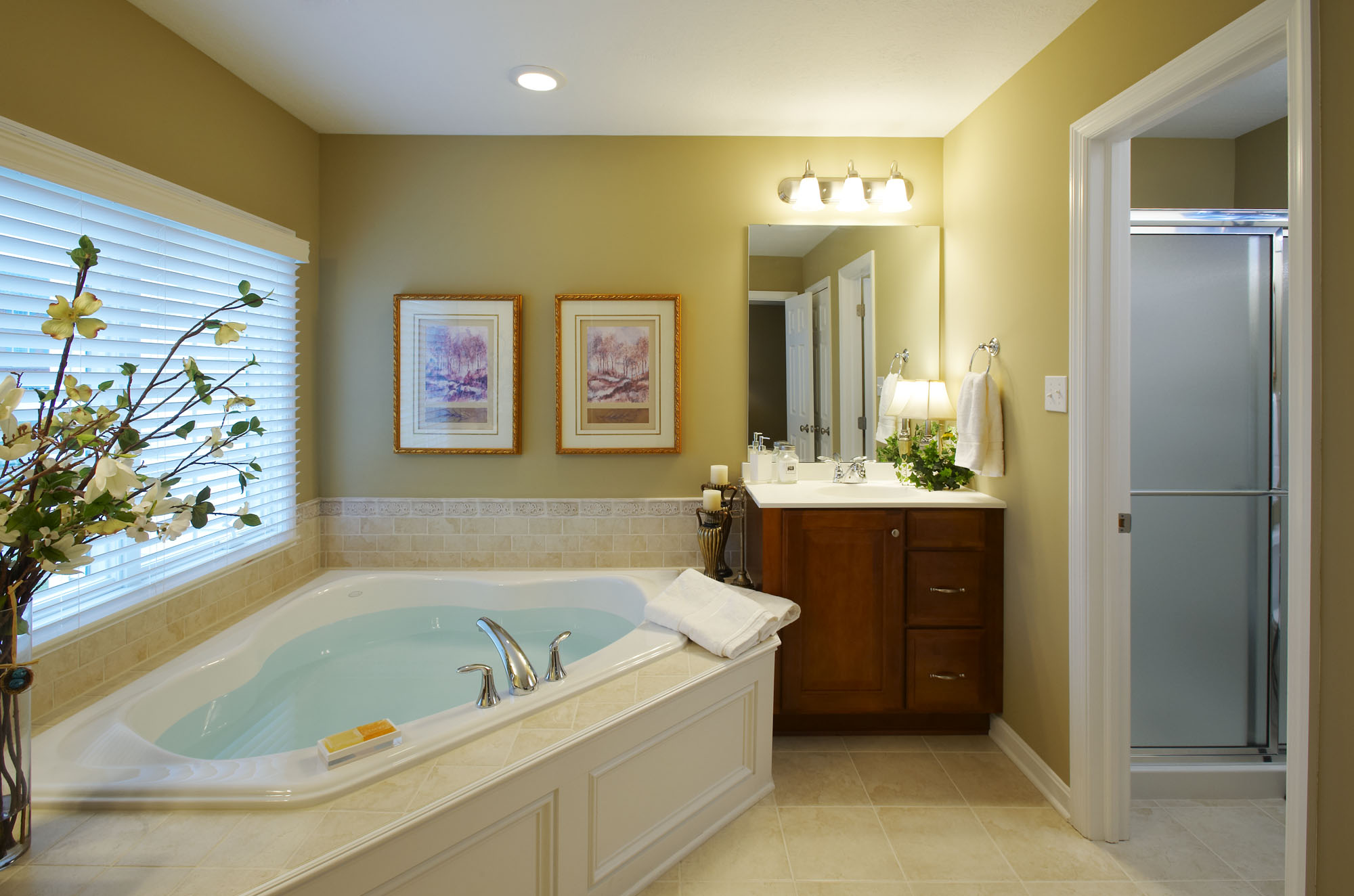 Model home bathroom pictures - 17 varities of looking your bathroom 