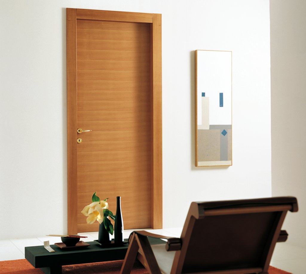 modern door designs for rooms photo - 5