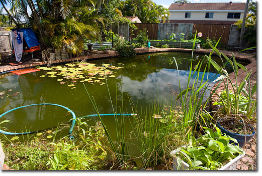 swimming pool backyard ideas photo - 6