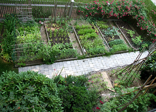 veg garden design ideas photo - 3