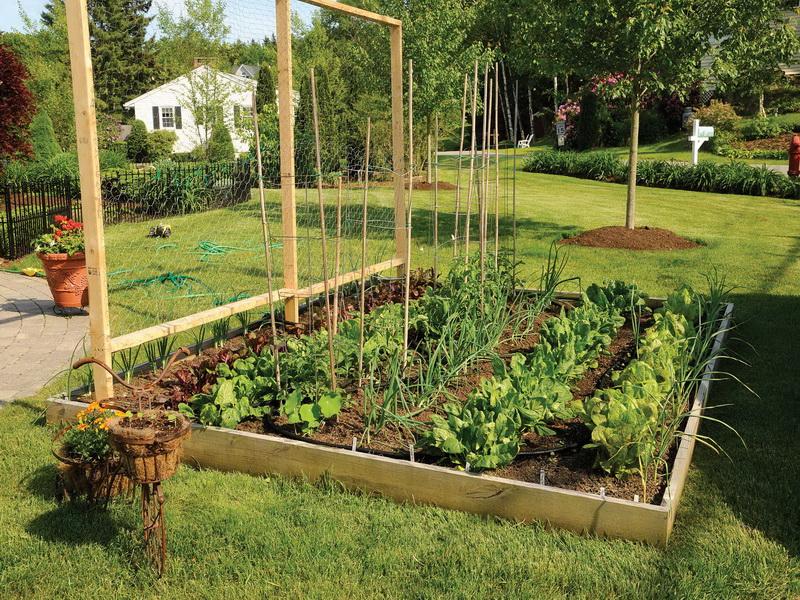 vegetable garden box ideas photo - 1