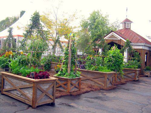 vegetable garden box ideas photo - 2