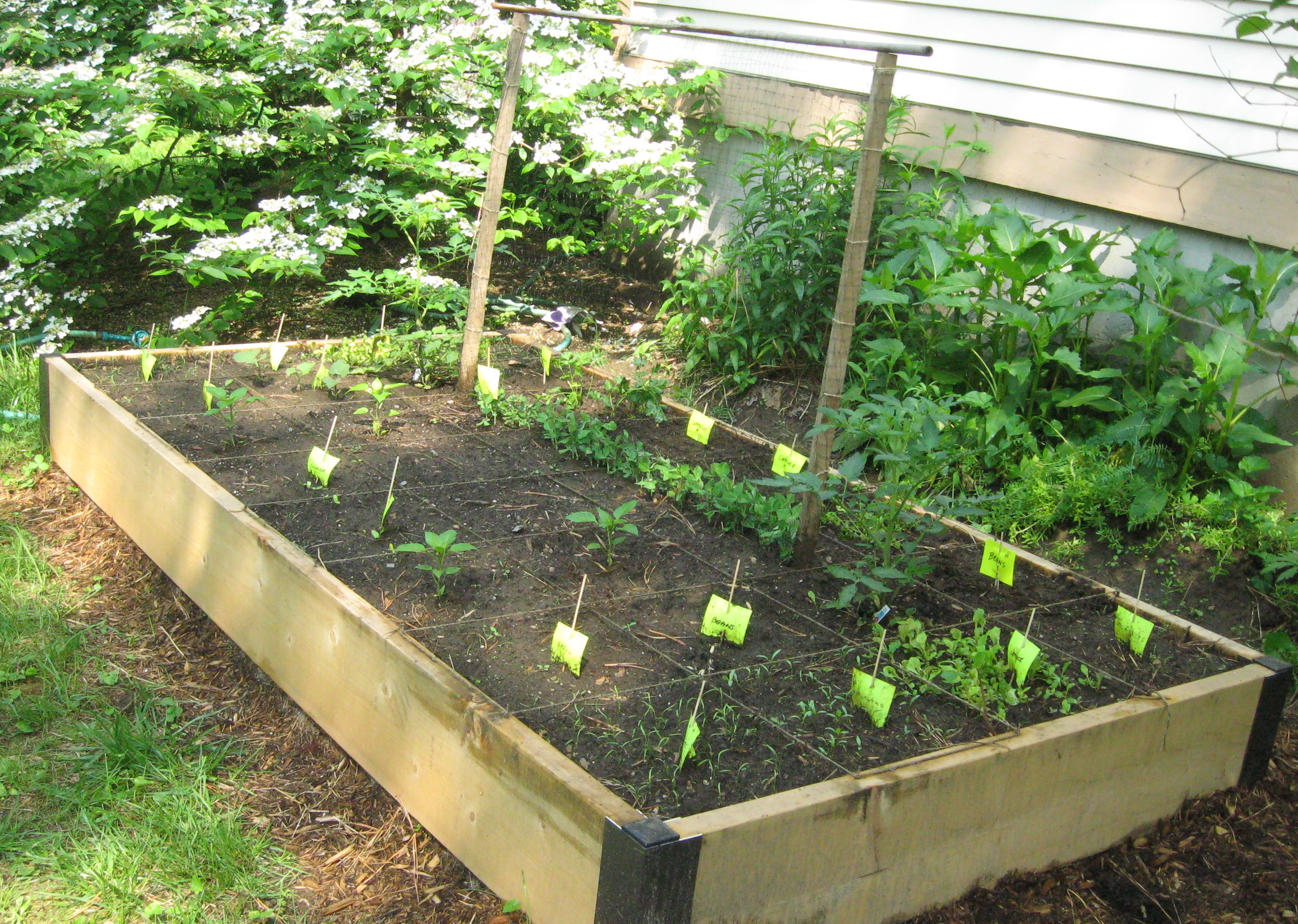 vegetable garden box ideas photo - 3