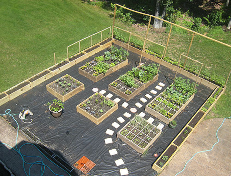 vegetable garden box ideas photo - 6