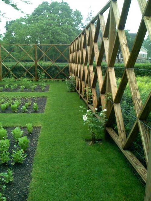 vegetable garden fence chicken wire photo - 2